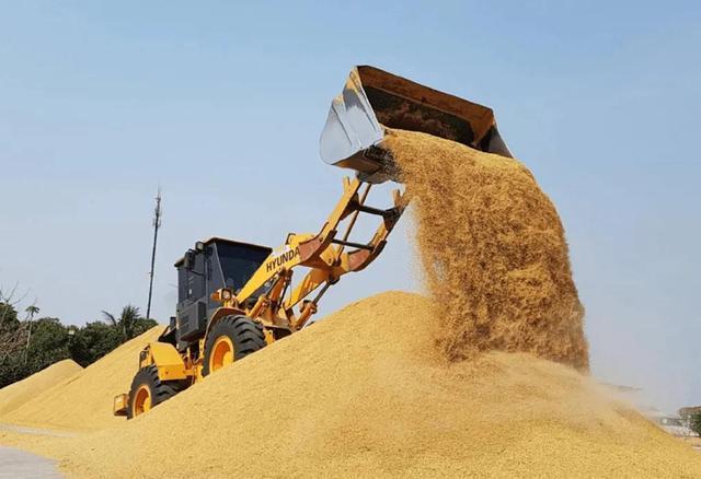 中泰大米贸易迎利好中国新注册46家泰国碾米厂
